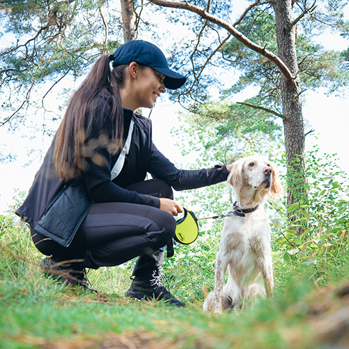 PF kloss på kloss.png