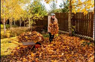 190594071_l_raking-hoest-loev-dame.jpg